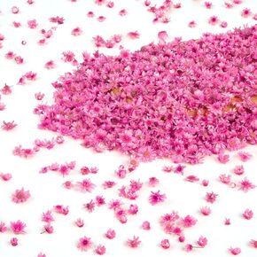 710 PCS Purple Dried Flowers for Resin - Mini Dried Flowers for Nails Art Decor, Natural Real Tiny Dried Pressed Flowers for Crafts Resin Jewelry Molds Soap Making