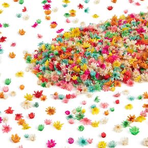 710 PCS Purple Dried Flowers for Resin - Mini Dried Flowers for Nails Art Decor, Natural Real Tiny Dried Pressed Flowers for Crafts Resin Jewelry Molds Soap Making