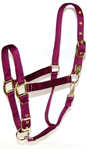 Hamilton 1-Inch Nylon Halter with Adjustable Chin, Wine - Draft Horse Size in Saudi Arabia