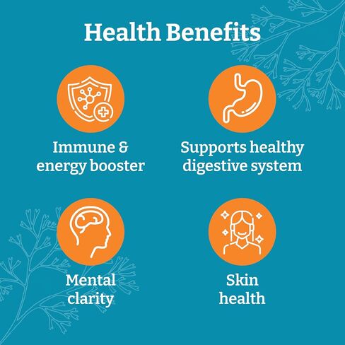 Yemayá The Natural Way الكل في 1، مكمل عضوي خام متعدد المعادن من طحالب البحر، مع زيت بذور البحر الأسود العضوي، وجذر الأرقطيون، والكركم، وفيتامين ج، والمزيد، 60 كبسولة نباتية in Saudi Arabia
