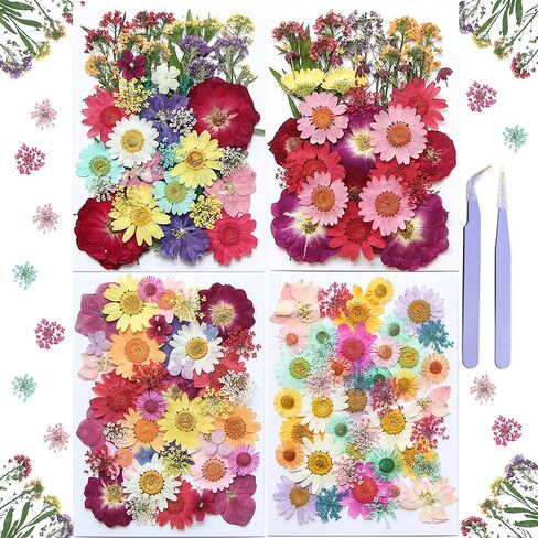 Pressed Flowers,165 Pcs Natural Dried Flowers,Pressed Flowers for Crafts, Real Dried Pressed Flowers,Dried Flowers for Crafts Resin Decor DIY in Kuwait