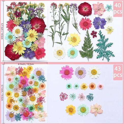 Pressed Flowers,165 Pcs Natural Dried Flowers,Pressed Flowers for Crafts, Real Dried Pressed Flowers,Dried Flowers for Crafts Resin Decor DIY in Kuwait