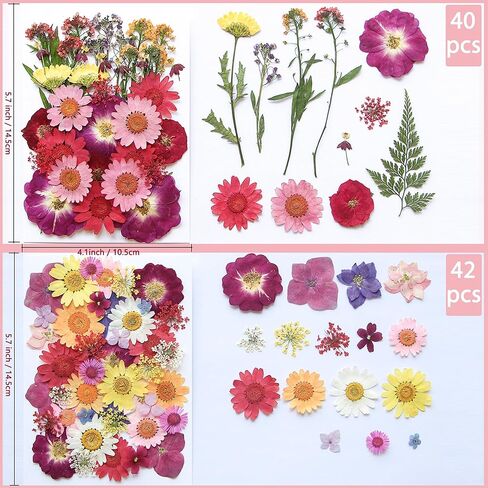 Pressed Flowers,165 Pcs Natural Dried Flowers,Pressed Flowers for Crafts, Real Dried Pressed Flowers,Dried Flowers for Crafts Resin Decor DIY in Kuwait
