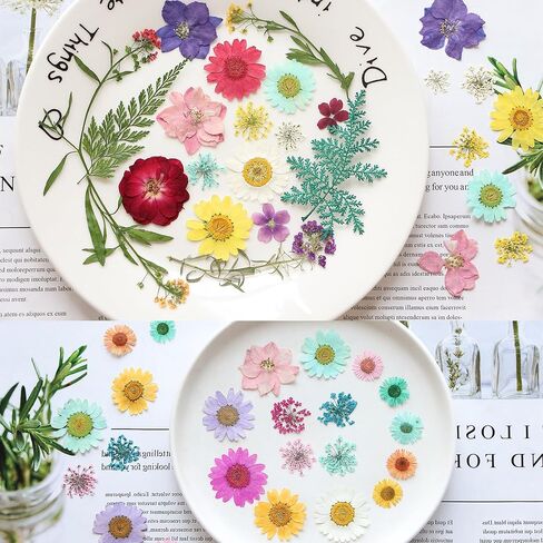 Pressed Flowers,165 Pcs Natural Dried Flowers,Pressed Flowers for Crafts, Real Dried Pressed Flowers,Dried Flowers for Crafts Resin Decor DIY in Kuwait