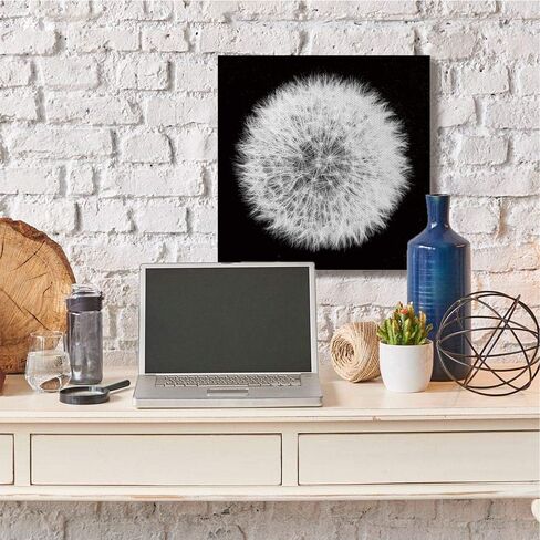 Stupell Industries Dandelion Floral Fluff Flower Black White Photograph, Designed by Aledanda Wall Art, 36x36, Canvas in Saudi Arabia