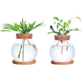 Tabletop Plant Propagation Station,Aquatic plant culture glass Mini vase,with wooden dish，Gifts for plant lovers, Suitable for desks, house, garden decorations (2pcs)