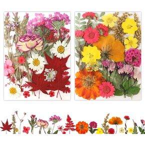 50Pcs Pressed Flowers, Dried Flowers for Beginners, Natural Dried Pressed Flowers Bulk for Epoxy Resin Molds, Photo Frame, Nail Art, Home Décor, Candle Holder, Jewelry Making DIY Supplies Kit