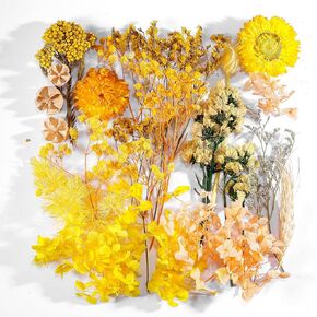 زهور خضراء متعددة ملونة طبيعية مضغوطة للحرف الفنية DIY، زهور وأوراق مجففة حقيقية مزخرفة لقوالب الراتنج والصابون والشموع ومروحة حريرية مستديرة وسجلات القصاصات in Kuwait