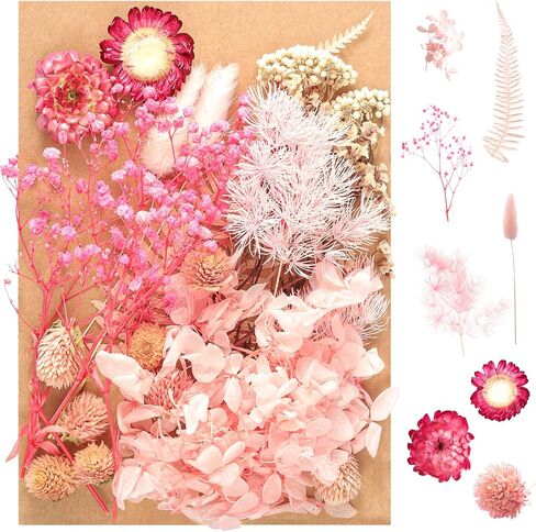 Real Dried Flowers Mini Colorful Natural Pressed Flowers for Crafts Art DIY Decorative Dried Leaf Flower Leaves Bulk for Scrapbooking Resin Moulds Candle Soap Jewelry Making Decoration (Pink) in Saudi Arabia