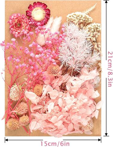 Real Dried Flowers Mini Colorful Natural Pressed Flowers for Crafts Art DIY Decorative Dried Leaf Flower Leaves Bulk for Scrapbooking Resin Moulds Candle Soap Jewelry Making Decoration (Pink) in Saudi Arabia