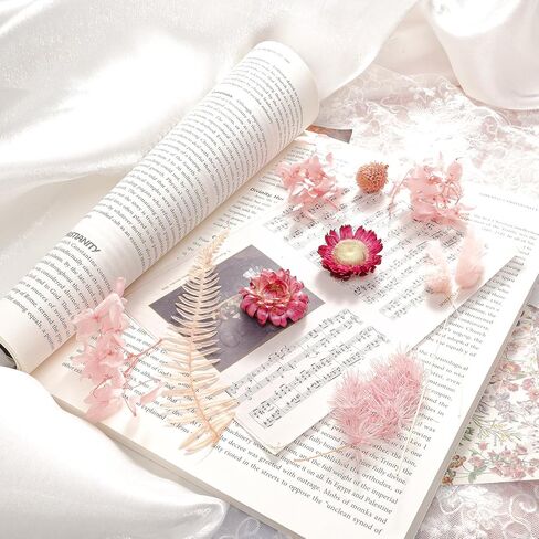 Real Dried Flowers Mini Colorful Natural Pressed Flowers for Crafts Art DIY Decorative Dried Leaf Flower Leaves Bulk for Scrapbooking Resin Moulds Candle Soap Jewelry Making Decoration (Pink) in Saudi Arabia