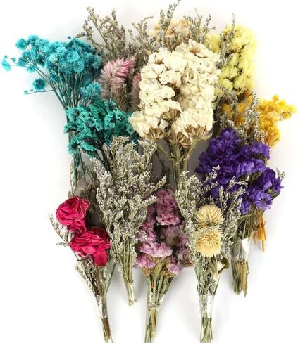 24PCS Mini Dried Flowers Bouquets,2 Boxes Natural Dry Flower&Leaves Plant Stem Bunch for DIY Crafts Photo Props,Dried Embossing Flower Bundles for Wedding Home PartyDecor (24) in Saudi Arabia