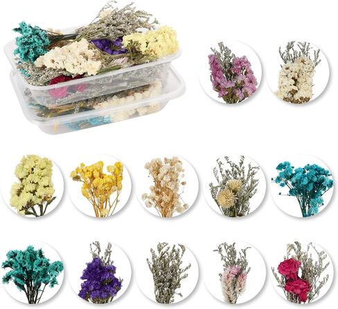 24PCS Mini Dried Flowers Bouquets,2 Boxes Natural Dry Flower&Leaves Plant Stem Bunch for DIY Crafts Photo Props,Dried Embossing Flower Bundles for Wedding Home PartyDecor (24) in Saudi Arabia
