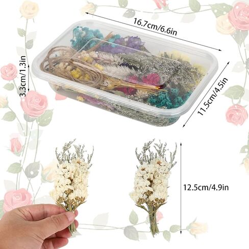 24PCS Mini Dried Flowers Bouquets,2 Boxes Natural Dry Flower&Leaves Plant Stem Bunch for DIY Crafts Photo Props,Dried Embossing Flower Bundles for Wedding Home PartyDecor (24) in Saudi Arabia