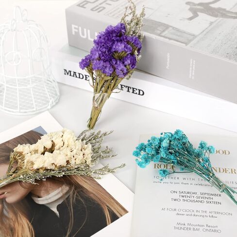 24PCS Mini Dried Flowers Bouquets,2 Boxes Natural Dry Flower&Leaves Plant Stem Bunch for DIY Crafts Photo Props,Dried Embossing Flower Bundles for Wedding Home PartyDecor (24) in Saudi Arabia