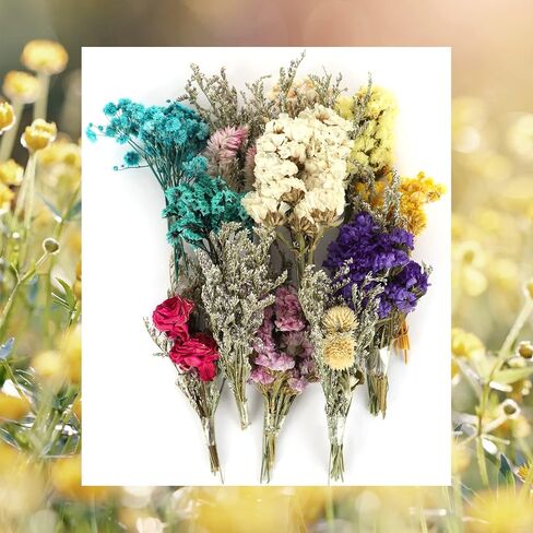 24PCS Mini Dried Flowers Bouquets,2 Boxes Natural Dry Flower&Leaves Plant Stem Bunch for DIY Crafts Photo Props,Dried Embossing Flower Bundles for Wedding Home PartyDecor (24) in Saudi Arabia