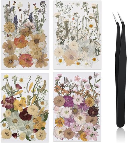 Nuanchu Pressed Flowers Bulk Dried Flower for Crafts, Dried Flower Leave Natural with Tweezer for Resin Mold Scrapbooking DIY (Vivid Colors,Blossom Style) in Saudi Arabia
