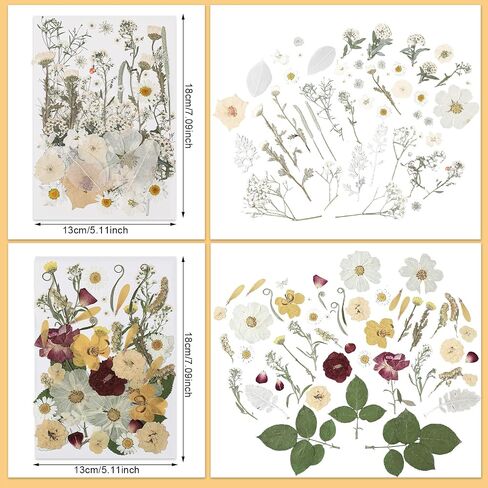 Nuanchu Pressed Flowers Bulk Dried Flower for Crafts, Dried Flower Leave Natural with Tweezer for Resin Mold Scrapbooking DIY (Vivid Colors,Blossom Style) in Saudi Arabia
