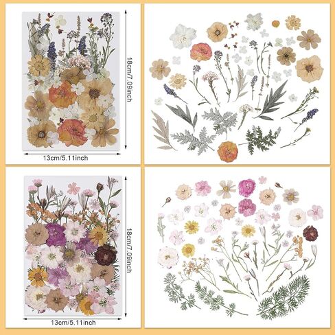 Nuanchu Pressed Flowers Bulk Dried Flower for Crafts, Dried Flower Leave Natural with Tweezer for Resin Mold Scrapbooking DIY (Vivid Colors,Blossom Style) in Saudi Arabia