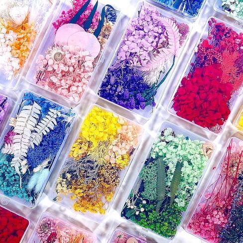 زهور خضراء متعددة ملونة طبيعية مضغوطة للحرف الفنية DIY، زهور وأوراق مجففة حقيقية مزخرفة لقوالب الراتنج والصابون والشموع ومروحة حريرية مستديرة وسجلات القصاصات in Kuwait