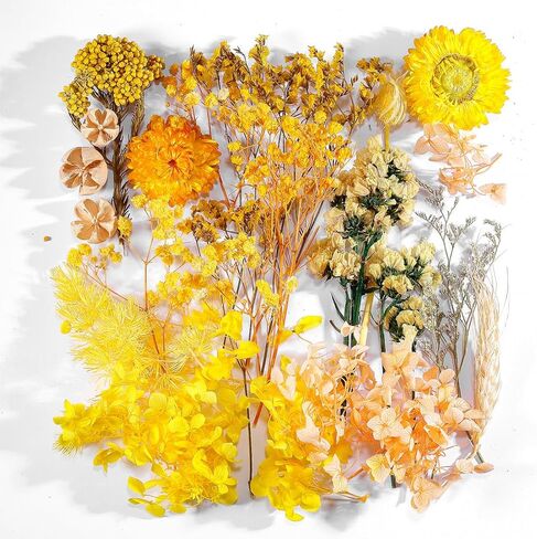 زهور خضراء متعددة ملونة طبيعية مضغوطة للحرف الفنية DIY، زهور وأوراق مجففة حقيقية مزخرفة لقوالب الراتنج والصابون والشموع ومروحة حريرية مستديرة وسجلات القصاصات in Kuwait