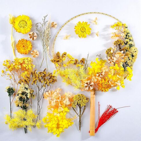 زهور خضراء متعددة ملونة طبيعية مضغوطة للحرف الفنية DIY، زهور وأوراق مجففة حقيقية مزخرفة لقوالب الراتنج والصابون والشموع ومروحة حريرية مستديرة وسجلات القصاصات in Kuwait