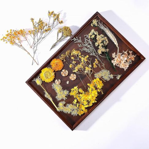 زهور خضراء متعددة ملونة طبيعية مضغوطة للحرف الفنية DIY، زهور وأوراق مجففة حقيقية مزخرفة لقوالب الراتنج والصابون والشموع ومروحة حريرية مستديرة وسجلات القصاصات in Kuwait