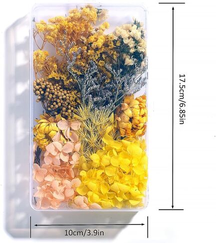 زهور خضراء متعددة ملونة طبيعية مضغوطة للحرف الفنية DIY، زهور وأوراق مجففة حقيقية مزخرفة لقوالب الراتنج والصابون والشموع ومروحة حريرية مستديرة وسجلات القصاصات in Kuwait