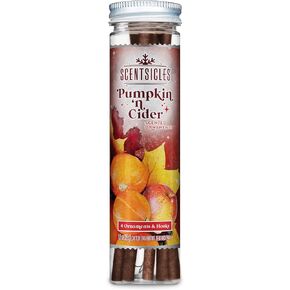 Scentsicles Spiced Pumpkin n Cider Scented Christmas Ornaments with Hooks - 1 Bottle (6 Sticks Total)
