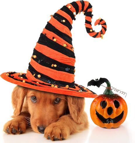 كيسوتو للهالوين من القرع الاصطناعي لتزيين المنزل في الهالوين - عبوة من 6 قطع in Kuwait