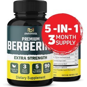 5-in-1 Berberine HCl with Ceylon Cinnamon, Milk Thistle, Turmeric, Artichoke - 90 Capsules for 3 Month Supply