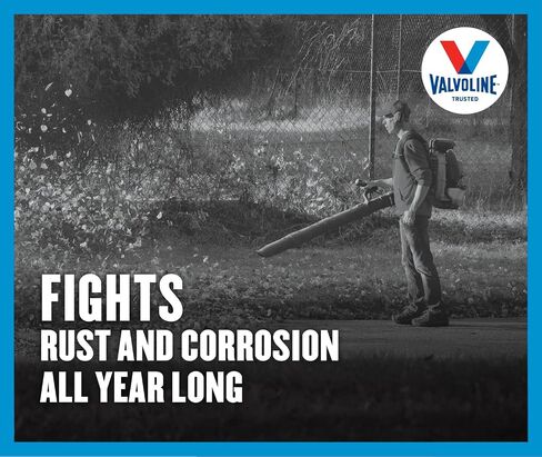 Valvoline 2-Cycle Multi-Purpose TCW-3 Motor Oil 1 QT in Saudi Arabia