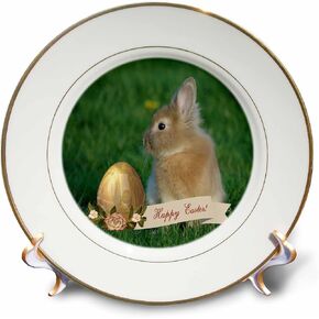 3dRose cp_174061_1 Bunny Rabbit in The Grass with Easter Egg with Roses, Happy Easter-Porcelain Plate, 8-Inch