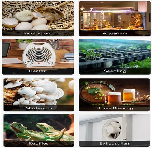 جهاز التحكم الرقمي في درجة الحرارة BN-LINK، قابس جهاز التحكم في درجة الحرارة بمنفذ تبريد على مرحلتين للزواحف وأحواض السمك وتربية البيرة المنزلية وإنبات البذور درجة مئوية/درجة فهرنهايت -40-176 درجة فهرنهايت 15 أمبير/1875 وات in Kuwait