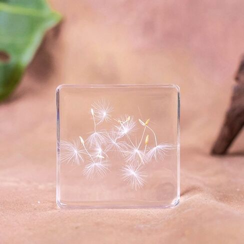 Pressed Flower Paperweight, Real Flowers and Plant Specimens Resin Paper Weights Crafts for Desktop Decoration Science Education and Gift Giving (Dandelion) in Saudi Arabia