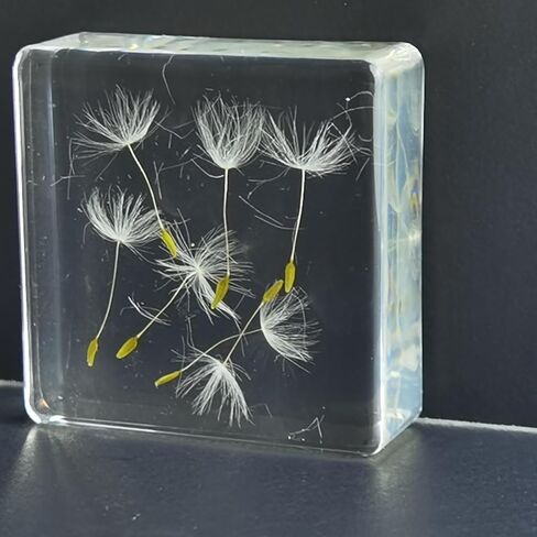 Pressed Flower Paperweight, Real Flowers and Plant Specimens Resin Paper Weights Crafts for Desktop Decoration Science Education and Gift Giving (Dandelion) in Saudi Arabia