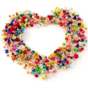 Dried Natural Mini Flowers 170+ Pcs Multi Color or Beige Blooms for Resin Filler, Fairy Crowns, Miniature Crafts, Soap Making, Scrapbooking (Beige)