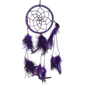 DreamCatcher ~ Purple DreamCatcher with Feathers ~ Approx 3.5" Diameter 1 Foot Long