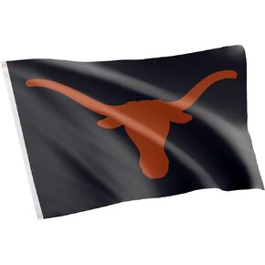 Desert Cactus University of Texas Flag Longhorns UT Austin Flags Banners 100% Polyester Indoor Outdoor 3x5 (Style 3)