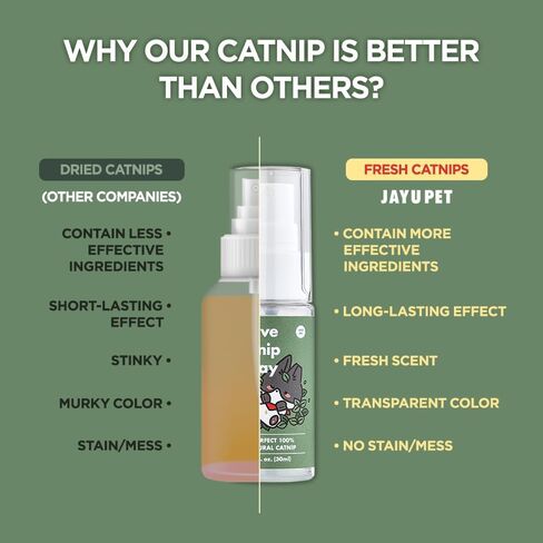 Super Active Catnip Set - Fresh Catnip Powder (0.5 oz) & Potent Spray (1fl oz) with Strong Scent for Exercising, Relaxing, and Training Cats in Saudi Arabia
