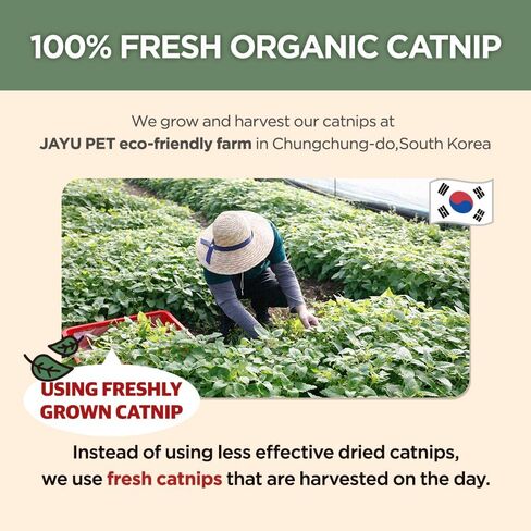 Super Active Catnip Set - Fresh Catnip Powder (0.5 oz) & Potent Spray (1fl oz) with Strong Scent for Exercising, Relaxing, and Training Cats in Saudi Arabia