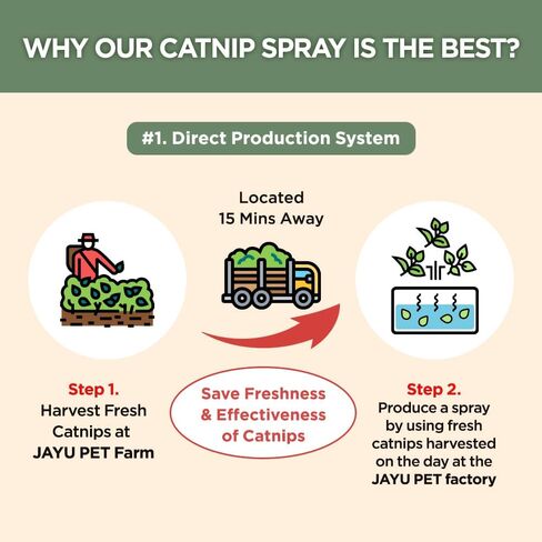Super Active Catnip Set - Fresh Catnip Powder (0.5 oz) & Potent Spray (1fl oz) with Strong Scent for Exercising, Relaxing, and Training Cats in Saudi Arabia
