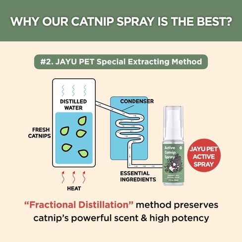 Super Active Catnip Set - Fresh Catnip Powder (0.5 oz) & Potent Spray (1fl oz) with Strong Scent for Exercising, Relaxing, and Training Cats in Saudi Arabia