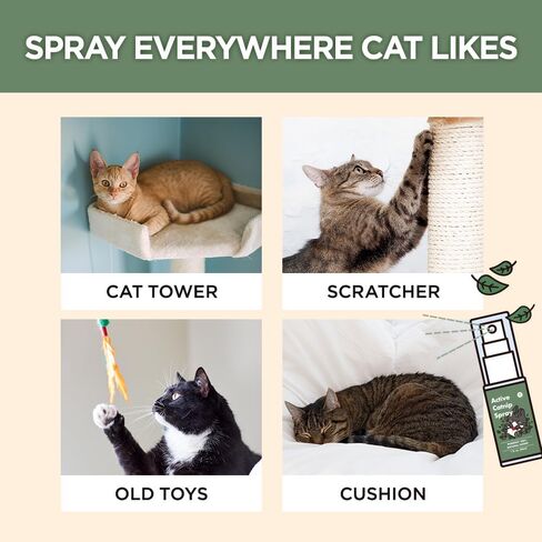 Super Active Catnip Set - Fresh Catnip Powder (0.5 oz) & Potent Spray (1fl oz) with Strong Scent for Exercising, Relaxing, and Training Cats in Saudi Arabia