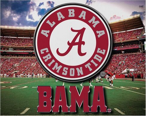 FOCO Alabama Crimson Tide NCAA Canvas Wall Sign in Saudi Arabia