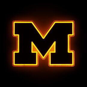 FOCO Michigan Wolverines NCAA Team Logo LED Neon Light Up Sign