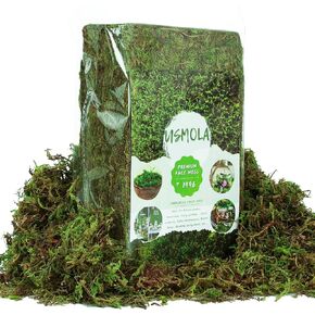 Artificial Moss for Plants Indoor, 16OZ Fake Moss for Crafts, Decorative Moss for Table Centerpieces Fairy Garden Wedding Party Decor, Faux Moss for Potted Plants, 455gr (Natural Green)