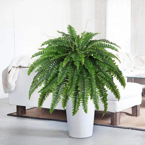 Artificial Boston Fern Bush- Set of 2 Large Artificial Ferns for Outdoors, 42Inch Large Faux Ferns, Suitable for Office & Living Room Decor, 51Branches for Each Bouquet in Saudi Arabia