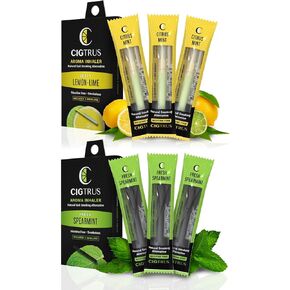 Cigtrus Smokeless Air Inhaler - Smoking Alternative | Tobacco-Free, Nicotine-Free, & Non-Electric | Oral Fixation Relief - Quit Smoking Aid & Stop Vaping Aid | Citrus Mint & Fresh Spearmint- 6 Pieces