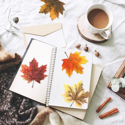 Whaline 72Pcs Fall Artificial Maple Leaves 6 Styles 5.5 Inch Gradient Color Fake Maple Leaves Mixed Faux Leaves Autumn Decoration for Thanksgiving Fall Wedding Festival Party DIY Art Craft Supplies in Saudi Arabia
